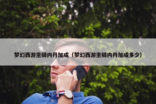 梦幻西游坐骑内丹加成（梦幻西游坐骑内丹加成多少）