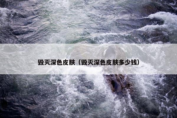 毁灭深色皮肤（毁灭深色皮肤多少钱）