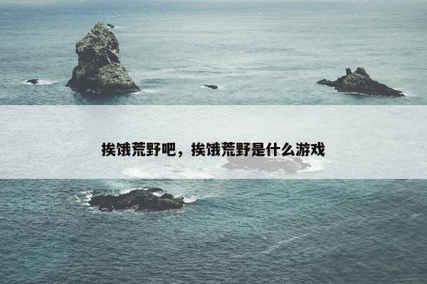 挨饿荒野吧，挨饿荒野是什么游戏