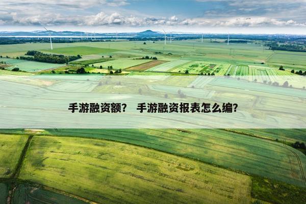 手游融资额？ 手游融资报表怎么编？