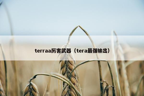 terraa厉害武器（tera最强输出）