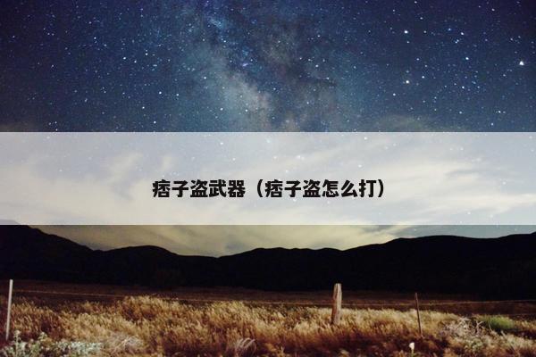 痞子盗武器（痞子盗怎么打）