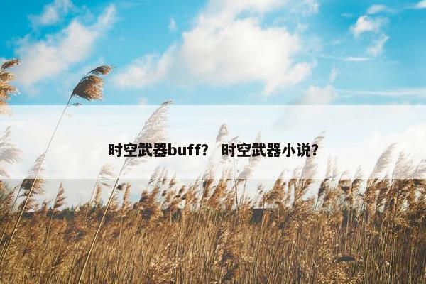 时空武器buff？ 时空武器小说？