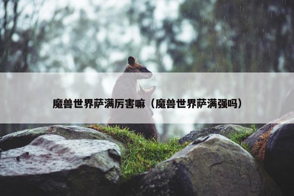 魔兽世界萨满厉害嘛（魔兽世界萨满强吗）