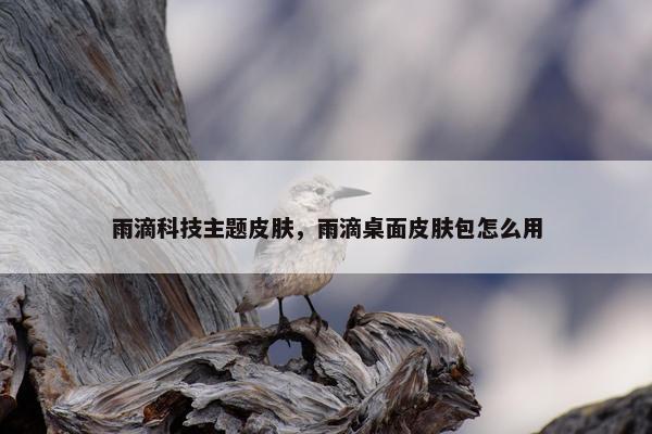 雨滴科技主题皮肤，雨滴桌面皮肤包怎么用