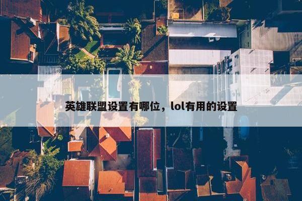 英雄联盟设置有哪位，lol有用的设置