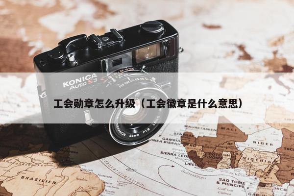 工会勋章怎么升级（工会徽章是什么意思）