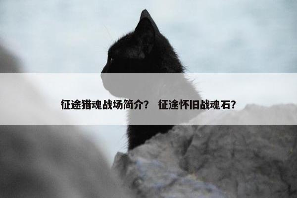 征途猎魂战场简介？ 征途怀旧战魂石？