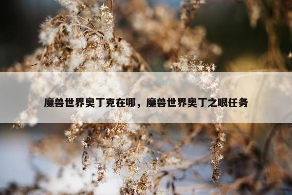 魔兽世界奥丁克在哪，魔兽世界奥丁之眼任务