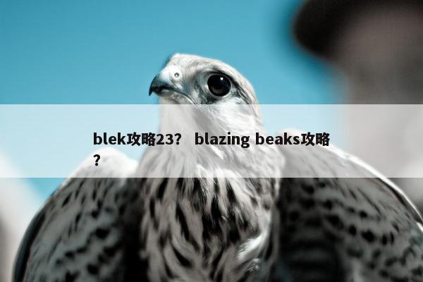 blek攻略23？ blazing beaks攻略？