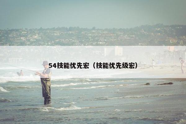 54技能优先宏（技能优先级宏）
