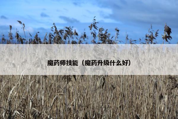魔药师技能（魔药升级什么好）