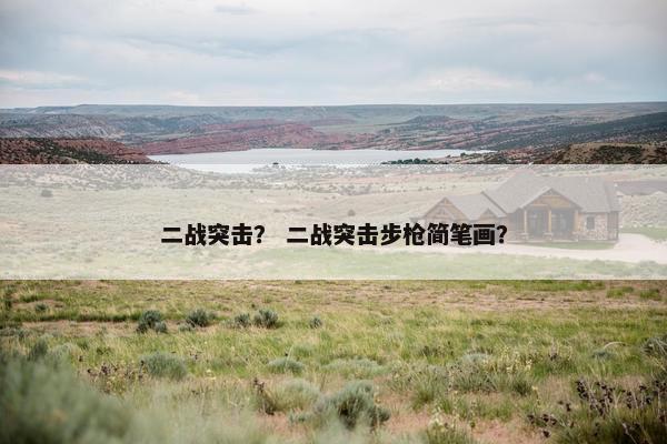 二战突击？ 二战突击步枪简笔画？
