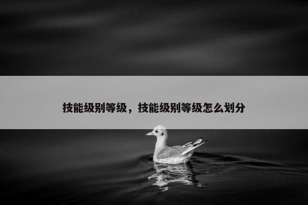 技能级别等级，技能级别等级怎么划分