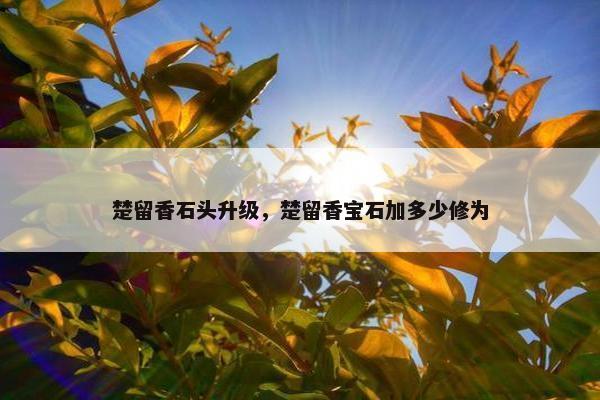 楚留香石头升级，楚留香宝石加多少修为