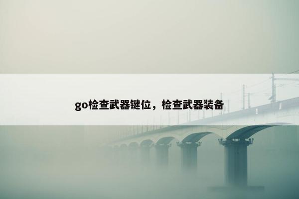 go检查武器键位，检查武器装备