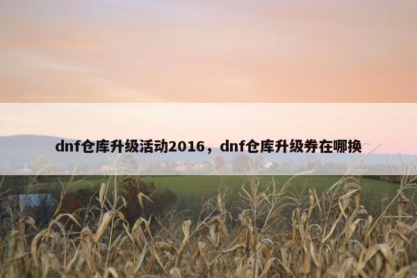 dnf仓库升级活动2016，dnf仓库升级券在哪换