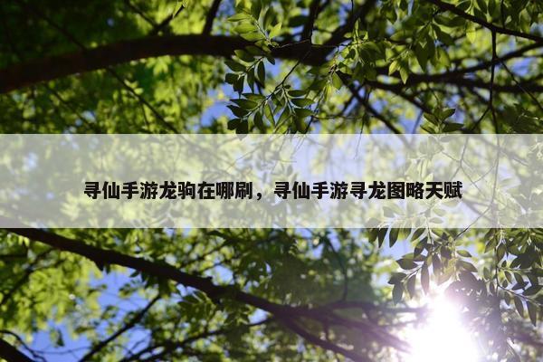 寻仙手游龙驹在哪刷，寻仙手游寻龙图略天赋