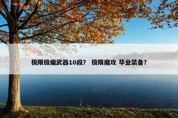 极限极魔武器10段？ 极限魔攻 毕业装备？