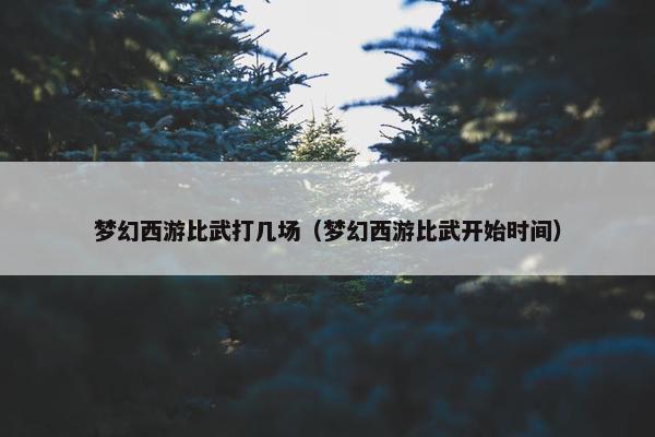 梦幻西游比武打几场（梦幻西游比武开始时间）