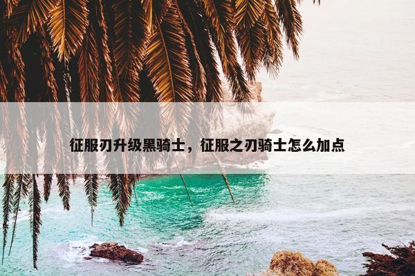 征服刃升级黑骑士，征服之刃骑士怎么加点