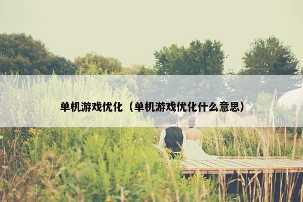 单机游戏优化（单机游戏优化什么意思）