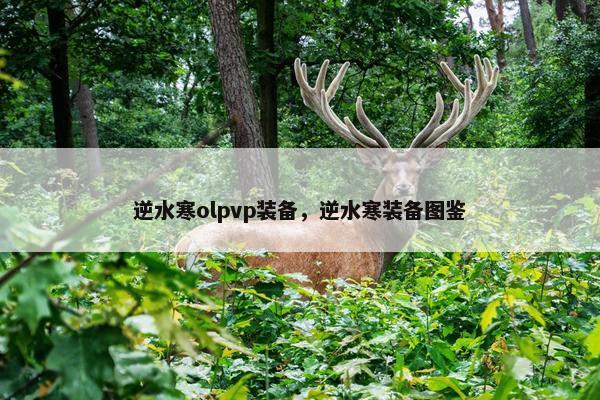 逆水寒olpvp装备，逆水寒装备图鉴