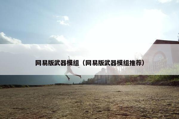网易版武器模组（网易版武器模组推荐）