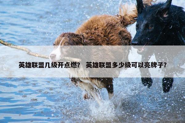 英雄联盟几级开点燃？ 英雄联盟多少级可以亮牌子？