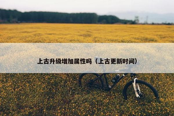 上古升级增加属性吗（上古更新时间）