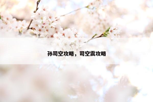 孙司空攻略，司空震攻略