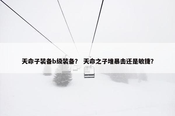 天命子装备b级装备？ 天命之子堆暴击还是敏捷？