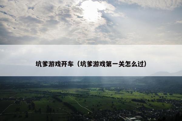 坑爹游戏开车（坑爹游戏第一关怎么过）