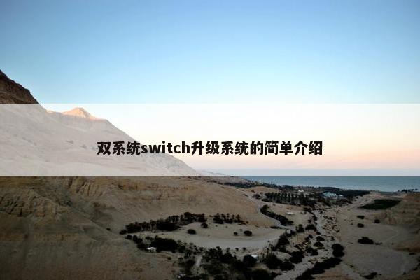 双系统switch升级系统的简单介绍