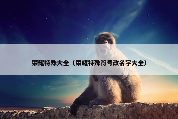 荣耀特殊大全（荣耀特殊符号改名字大全）