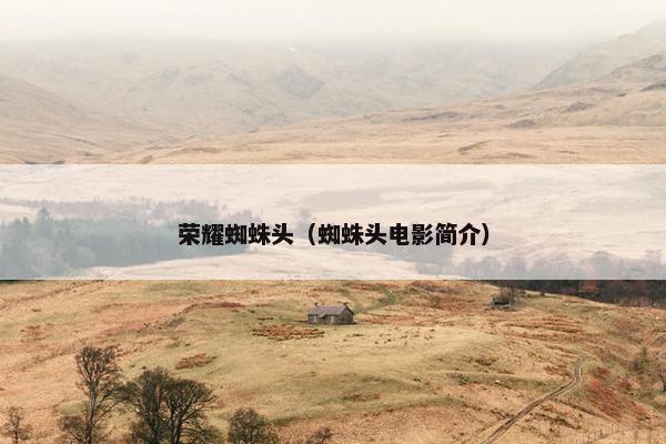 荣耀蜘蛛头（蜘蛛头电影简介）