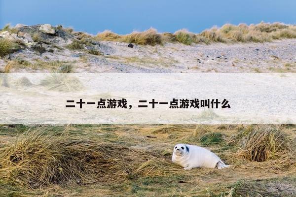 二十一点游戏，二十一点游戏叫什么