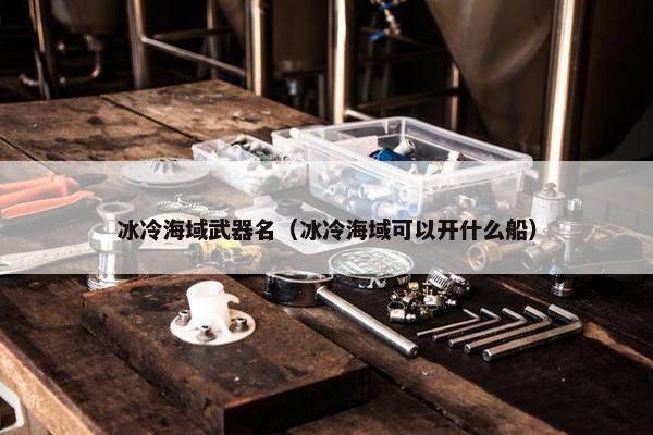 冰冷海域武器名（冰冷海域可以开什么船）