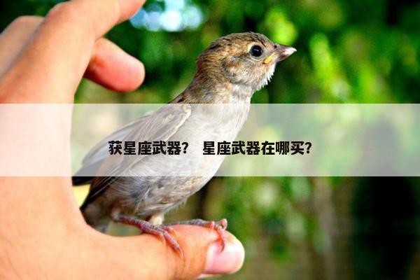 获星座武器？ 星座武器在哪买？