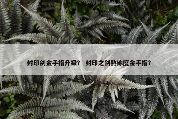 封印剑金手指升级？ 封印之剑熟练度金手指？