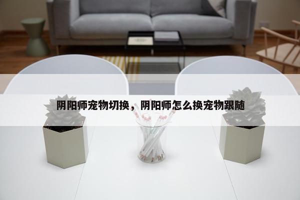 阴阳师宠物切换，阴阳师怎么换宠物跟随