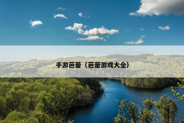 手游芭蕾（芭蕾游戏大全）