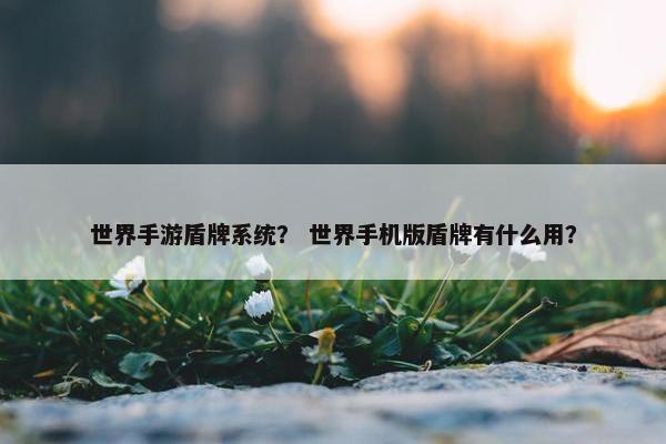 世界手游盾牌系统？ 世界手机版盾牌有什么用？