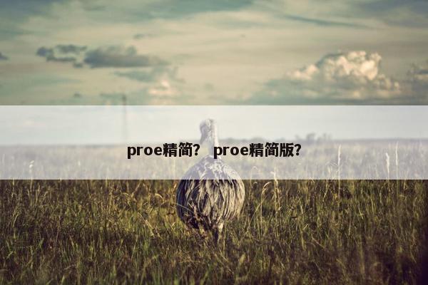 proe精简？ proe精简版？