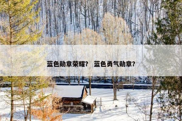 蓝色勋章荣耀？ 蓝色勇气勋章？