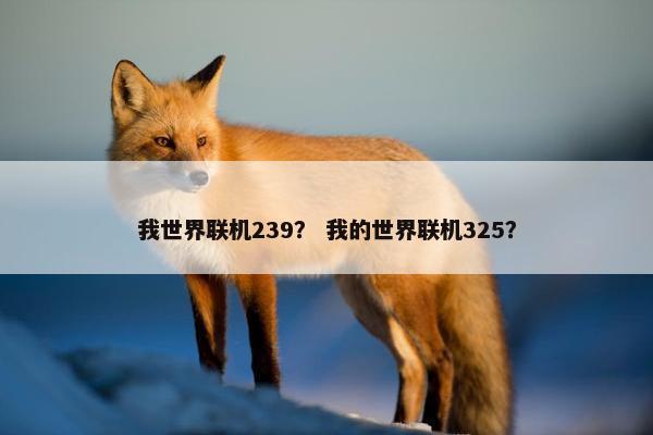 我世界联机239？ 我的世界联机325？