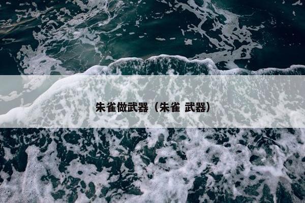 朱雀做武器（朱雀 武器）