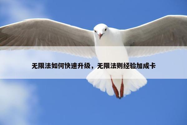 无限法如何快速升级，无限法则经验加成卡