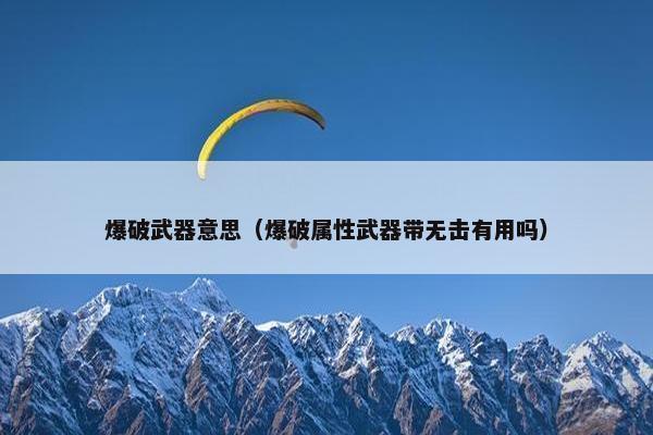 爆破武器意思（爆破属性武器带无击有用吗）