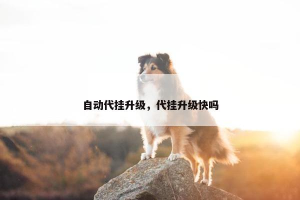 自动代挂升级，代挂升级快吗